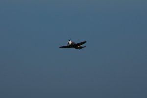 DSC02644